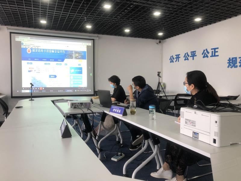湖北省电子招投标交易系统员工操作培训与业务提升指南